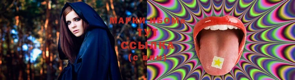 крисы Магадан