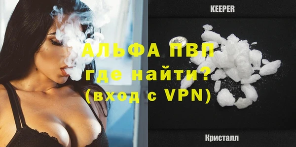 a pvp Магас