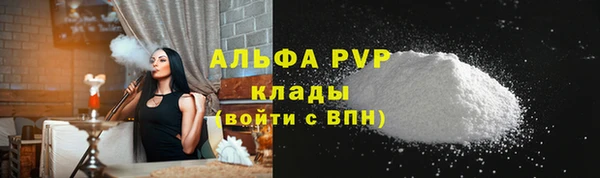 a pvp Магас