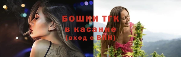 крисы Магадан