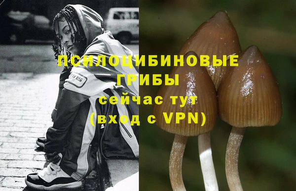 крисы Магадан