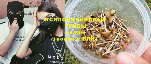 a pvp Магас