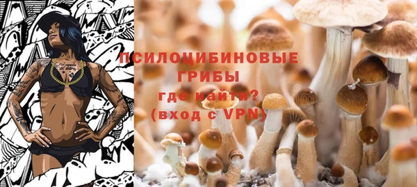 a pvp Магас