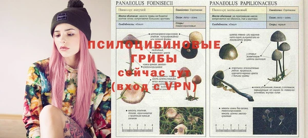 мдма Майский