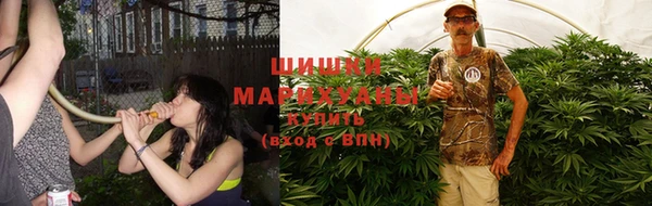 крисы Магадан