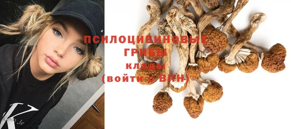 a pvp Магас