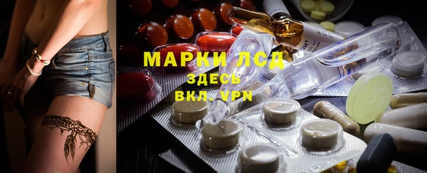 a pvp Магас
