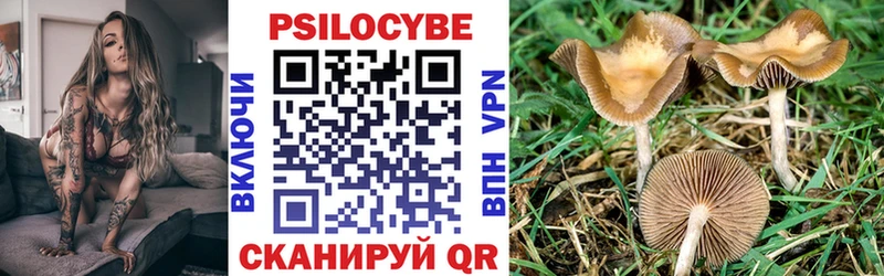 Галлюциногенные грибы ЛСД  Купить  Ивангород 